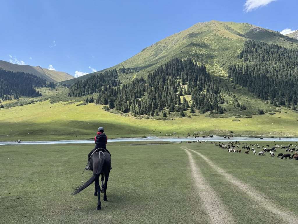 A boy on horseback walking towards a river