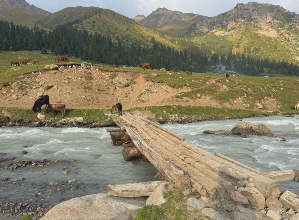 Multiple logs tied together to make a bridge across a river.