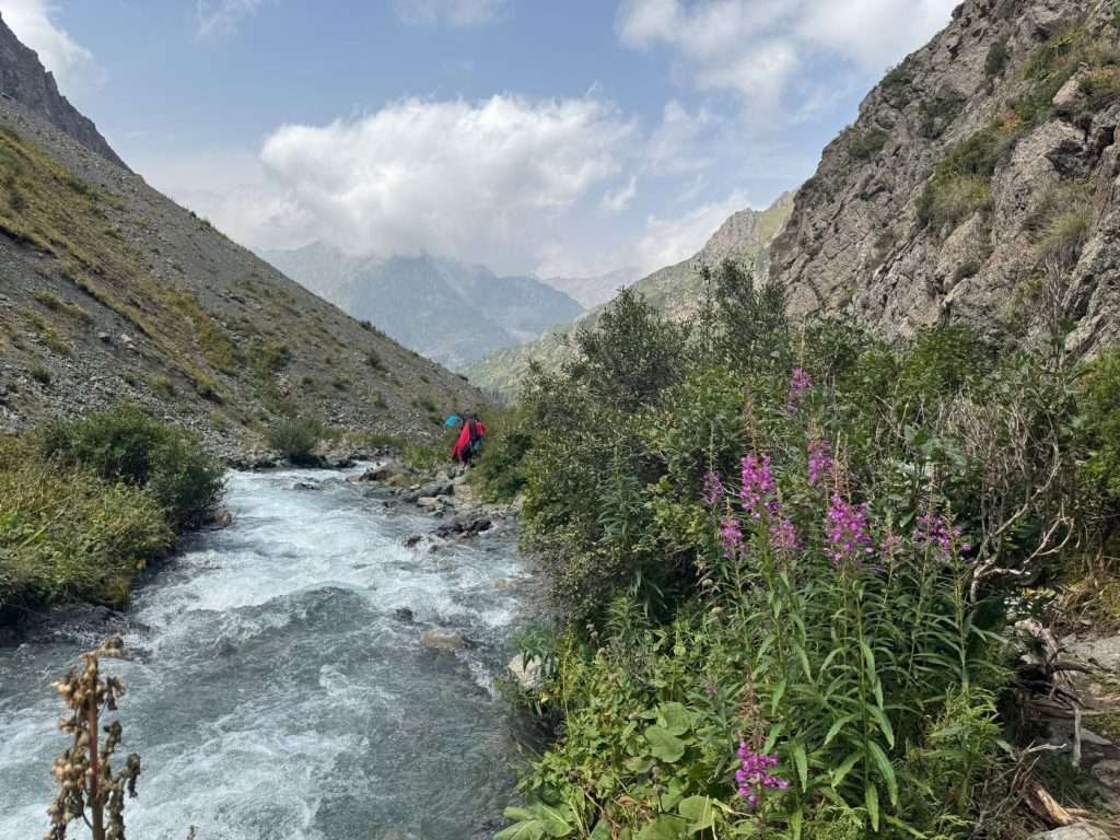 Flowers and shrubs line the river shore on the trail descending from Ala Kol Lake.