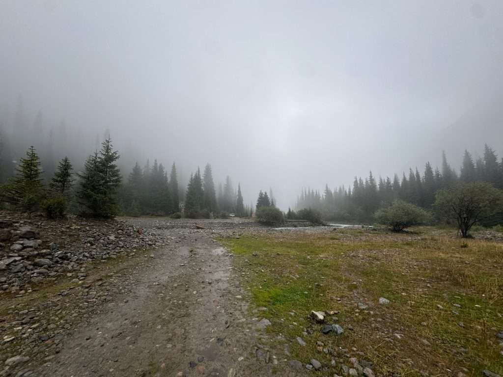 Light rain forms a fog over a forest. A trail leads towards the forest.